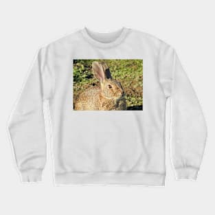 Rabbit, wildlife, gifts, Cute Little Bun bun Crewneck Sweatshirt